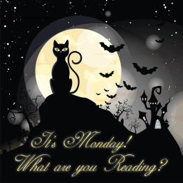 Afficher l'image d'origine