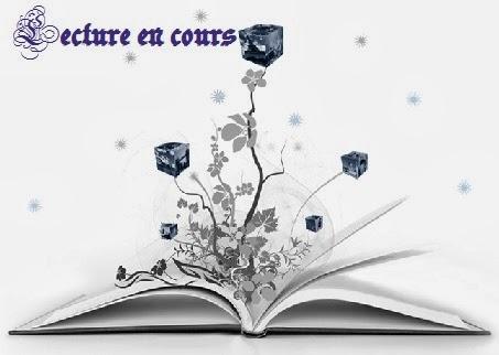 lecture-cours